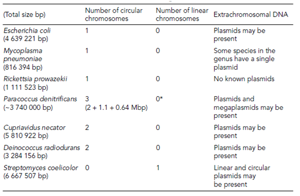 819_generalized structure of the bacterial genome.png